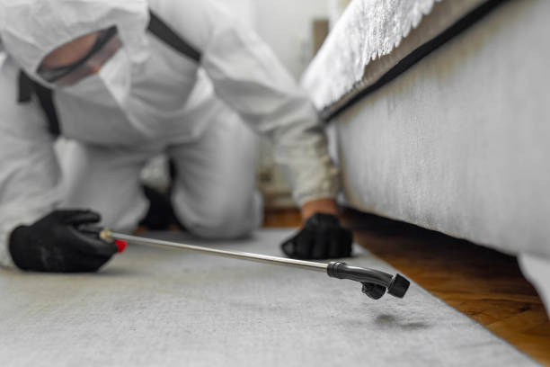 Professional Pest Control technician working in West Glendive, MT