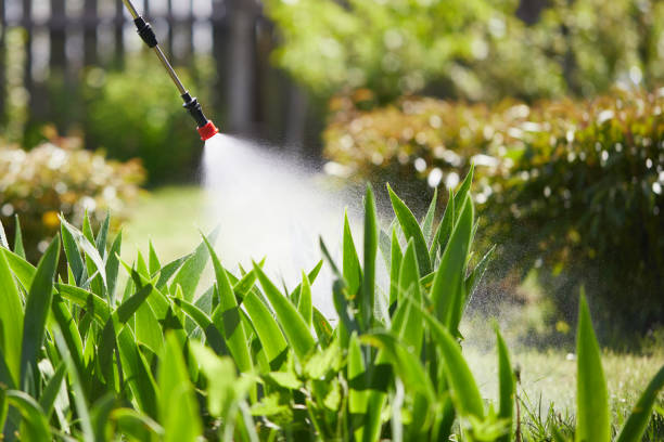 24/7 Emergency Bed Bug Control experts in West Glendive, MT